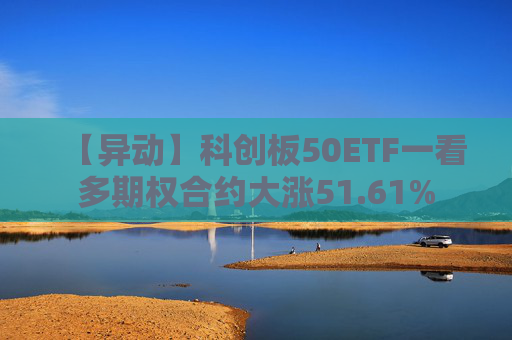 【异动】科创板50ETF一看多期权合约大涨51.61%