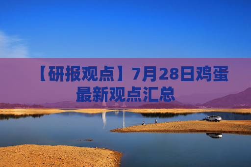 【研报观点】7月28日鸡蛋最新观点汇总