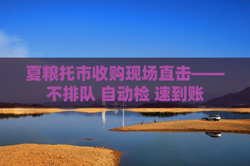 夏粮托市收购现场直击——不排队 自动检 速到账