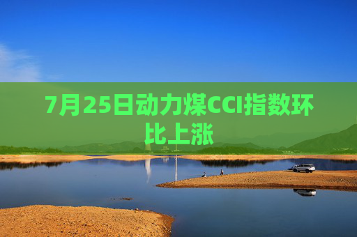 7月25日动力煤CCI指数环比上涨