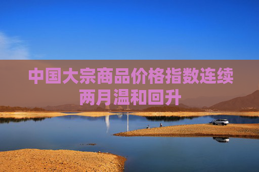 中国大宗商品价格指数连续两月温和回升