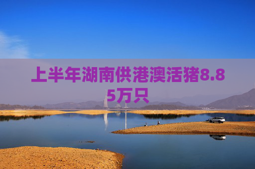 上半年湖南供港澳活猪8.85万只