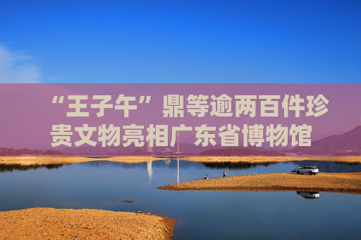 “王子午”鼎等逾两百件珍贵文物亮相广东省博物馆