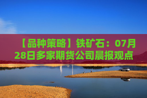 【品种策略】铁矿石：07月28日多家期货公司晨报观点汇总