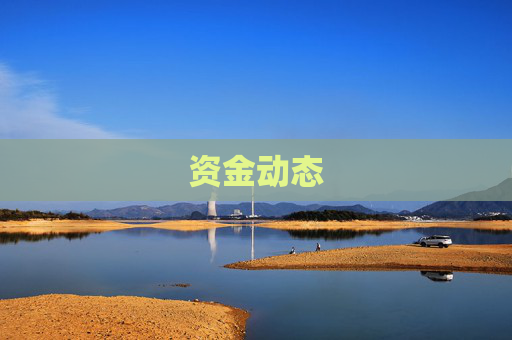 资金动态