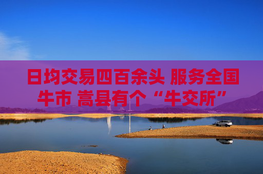 日均交易四百余头 服务全国牛市 嵩县有个“牛交所”