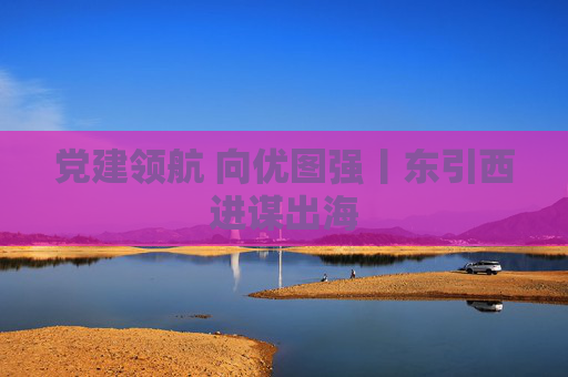 党建领航 向优图强丨东引西进谋出海