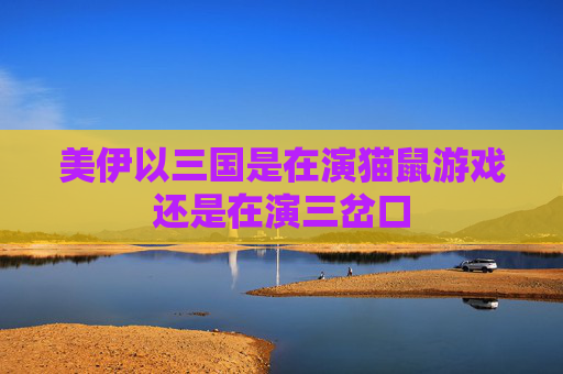 美伊以三国是在演猫鼠游戏还是在演三岔口