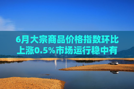 6月大宗商品价格指数环比上涨0.5%市场运行稳中有进