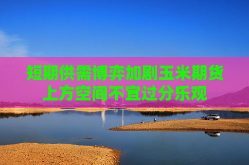 短期供需博弈加剧玉米期货上方空间不宜过分乐观