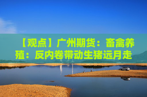 【观点】广州期货：畜禽养殖：反内卷带动生猪远月走强