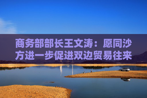 商务部部长王文涛：愿同沙方进一步促进双边贸易往来