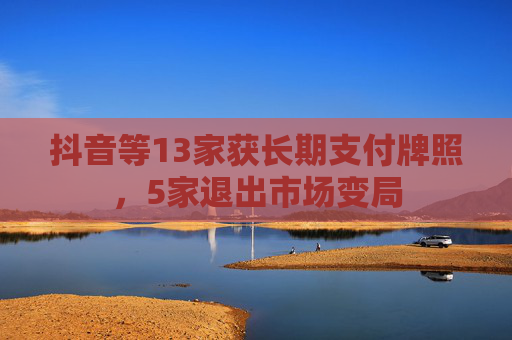 抖音等13家获长期支付牌照，5家退出市场变局