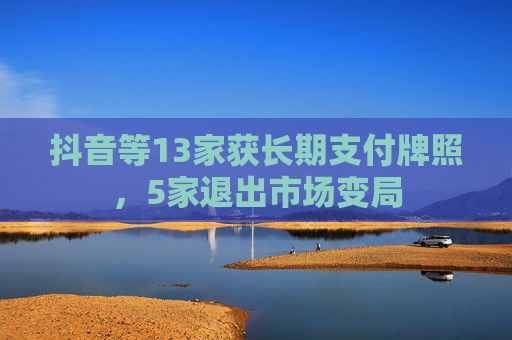 抖音等13家获长期支付牌照，5家退出市场变局