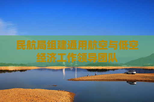 民航局组建通用航空与低空经济工作领导团队