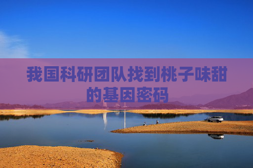 我国科研团队找到桃子味甜的基因密码