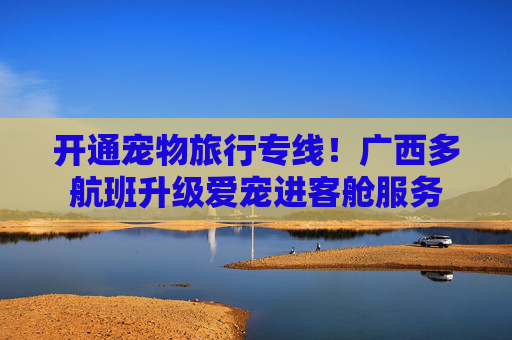 开通宠物旅行专线！广西多航班升级爱宠进客舱服务
