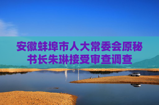 安徽蚌埠市人大常委会原秘书长朱琳接受审查调查