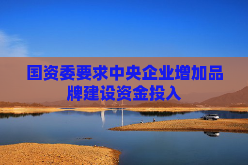 国资委要求中央企业增加品牌建设资金投入