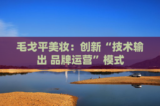 毛戈平美妆：创新“技术输出 品牌运营”模式