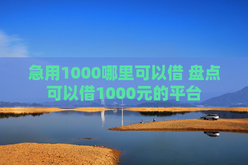 急用1000哪里可以借 盘点可以借1000元的平台