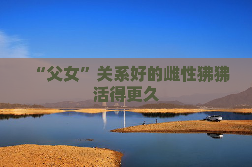 “父女”关系好的雌性狒狒活得更久