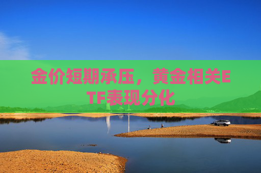 金价短期承压,黄金相关ETF表现分化