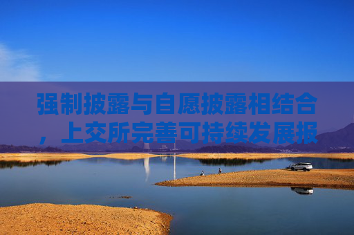强制披露与自愿披露相结合，上交所完善可持续发展报告披露要求