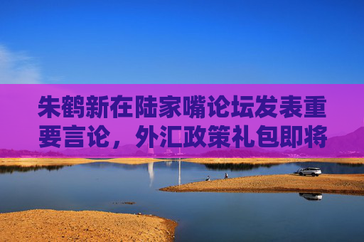 朱鹤新在陆家嘴论坛发表重要言论，外汇政策礼包即将发布