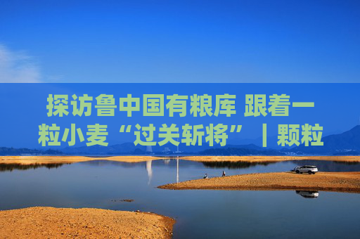探访鲁中国有粮库 跟着一粒小麦“过关斩将”｜颗粒归仓