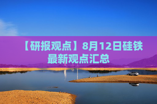 【研报观点】8月12日硅铁最新观点汇总
