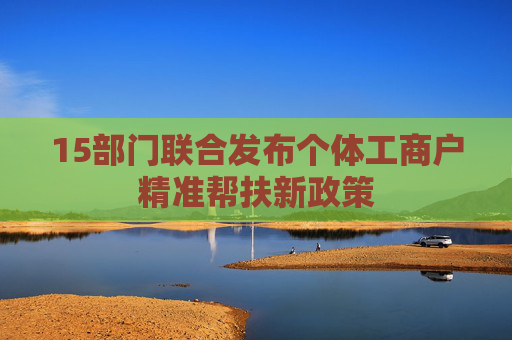 15部门联合发布个体工商户精准帮扶新政策