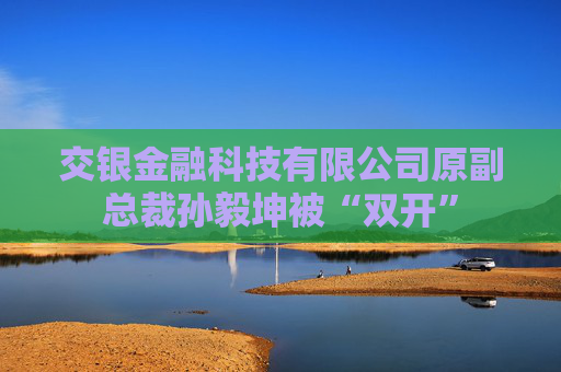 交银金融科技有限公司原副总裁孙毅坤被“双开”