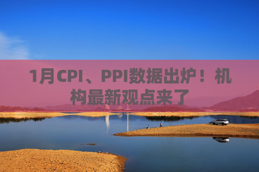 1月CPI、PPI数据出炉！机构最新观点来了