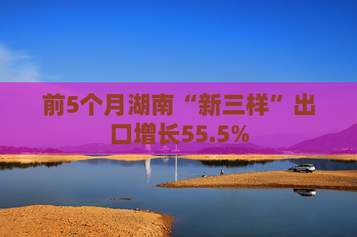 前5个月湖南“新三样”出口增长55.5%