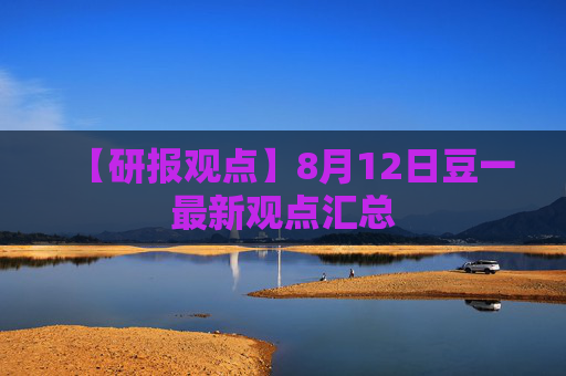 【研报观点】8月12日豆一最新观点汇总