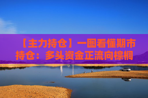 【主力持仓】一图看懂期市持仓：多头资金正流向棕榈油、菜油、沪锌等品种