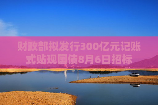 财政部拟发行300亿元记账式贴现国债8月6日招标