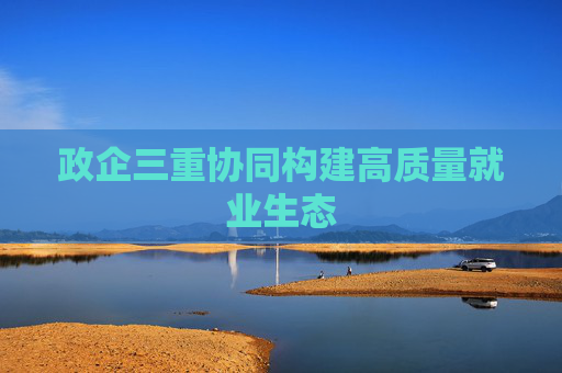 政企三重协同构建高质量就业生态
