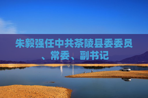 朱毅强任中共茶陵县委委员、常委、副书记