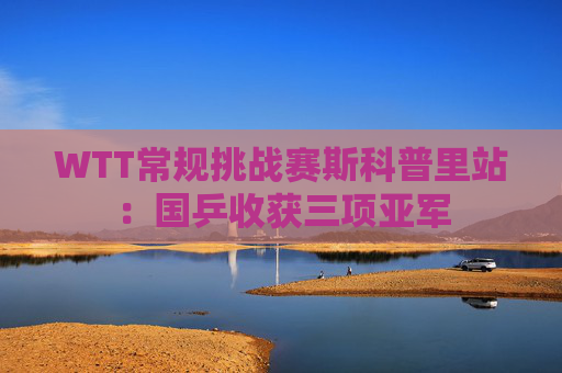 WTT常规挑战赛斯科普里站：国乒收获三项亚军