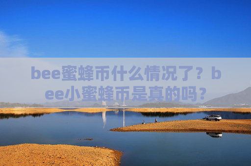 bee蜜蜂币什么情况了？bee小蜜蜂币是真的吗？