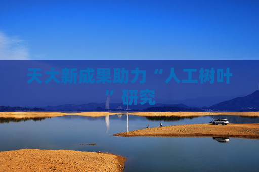 天大新成果助力“人工树叶”研究