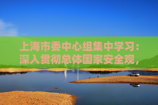 上海市委中心组集中学习:深入贯彻总体国家安全观,打造更高水平的平安上海