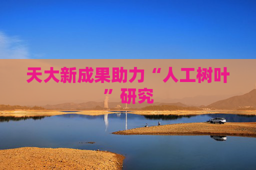 天大新成果助力“人工树叶”研究