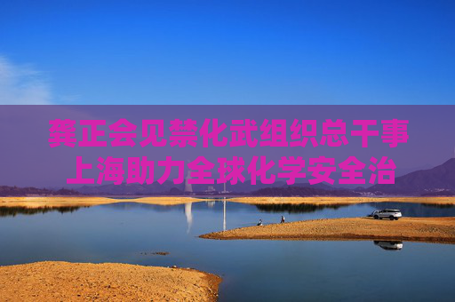 龚正会见禁化武组织总干事 上海助力全球化学安全治理