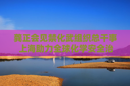 龚正会见禁化武组织总干事 上海助力全球化学安全治理