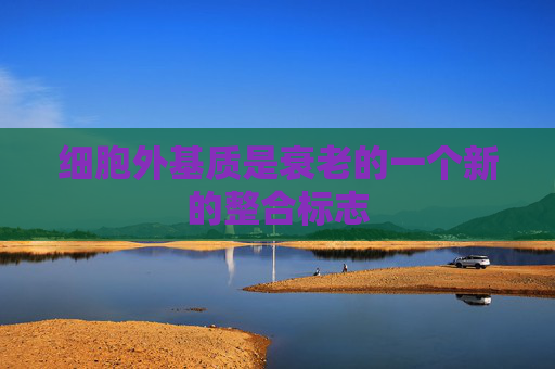 细胞外基质是衰老的一个新的整合标志