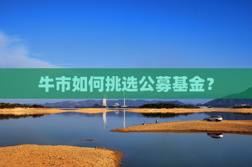 牛市如何挑选公募基金?
