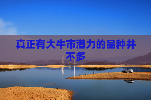 真正有大牛市潜力的品种并不多